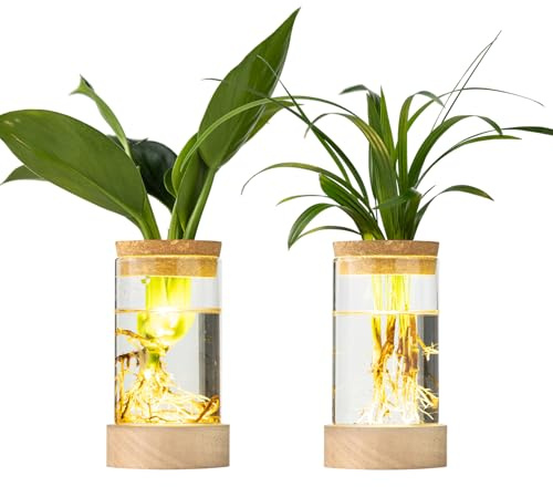 Glass Plant Propagation Stations, Propagation Vases for Plants with Ambient Light Base, Hydroponic Vase for Home & Office Windowsill Tabletop Decoration Desktop Vases for Living Room, Bedroom (2)