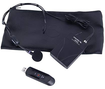PROEL U24B - Microfono Wireless USB Professionale Dinamico ad Archetto per Voce Canto Karaoke, Nero
