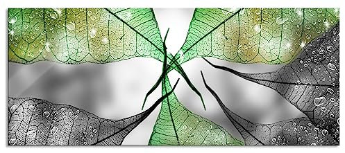 Pixxprint Glasbild Panorama, Wandbild aus Echtglas, grüne Blätter mit Wassertropfen, 120x50 cm, inkl. Aufhängung und Abstandshalter