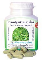 Fah Talai Jone (Andrographis Paniculata/King of Bitters)