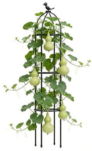 Enrejado para Plantas, Estructura Decorativa para trepar, Soporte Duradero para vides de jardín, Elegante Soporte para Plantas, de guía de Crecimiento para Interiores y Exteriores, para Rosas