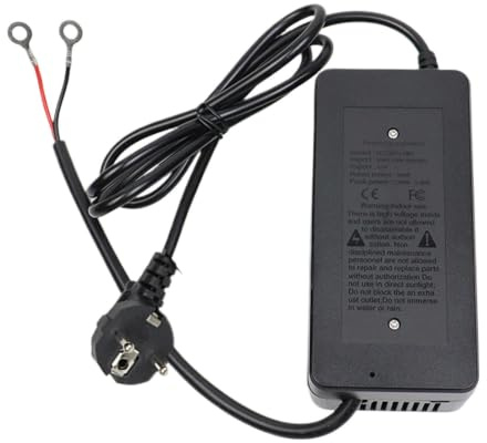 Convertitore di tensione da 12 Volt, 110/220 V a 12 V AC/DC, per riscaldamento