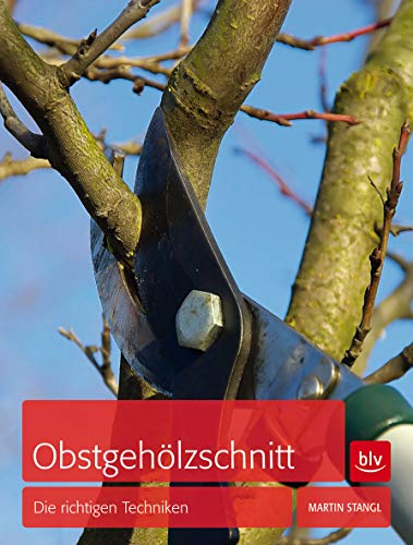 Obstgehölzschnitt: Die richtigen Techniken (BLV Gartenpraxis)