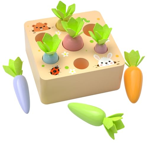 Giocattoli in legno a partire da 1 anno, giocattolo motorio per bambini da 12 a 18 mesi, ragazzi e ragazze, gioco di smistamento Montessori, puzzle in legno, raccolta di carote, giocattolo educativo