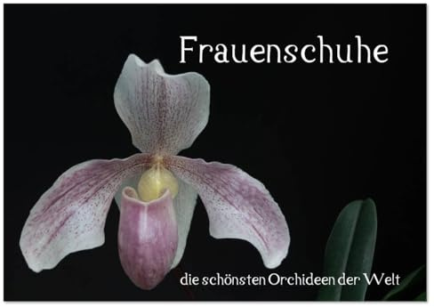 Frauenschuhe - die schönsten Orchideen der Welt (Tischkalender 2026 DIN A5 quer), CALVENDO Monatskalender (CALVENDO Natur)