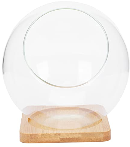 Angoily 1 Satz DIY Vase Moos Luftpflanzen Terrarium Geometrisches Terrarium Tischleiterluftanlage Pflanzer Hängende Terrarienkugel Luftpflanzenterrarium Dekorativ Glas Haushalt Topfpflanze