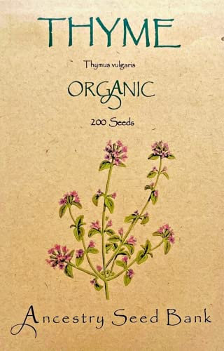 Organic Thyme ❁ x200 Seeds Heirloom Herbs - Non GMO