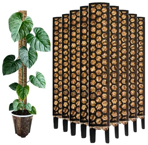 Nils der Pflanzenfreund® Moosstab 35 cm (M) 3 Stück, Schwarz – PlantScraper Moss Pole, erweiterbare Rankhilfe für Monstera & Kletterpflanzen, Pflanzenstab für Indoor Pflanzen