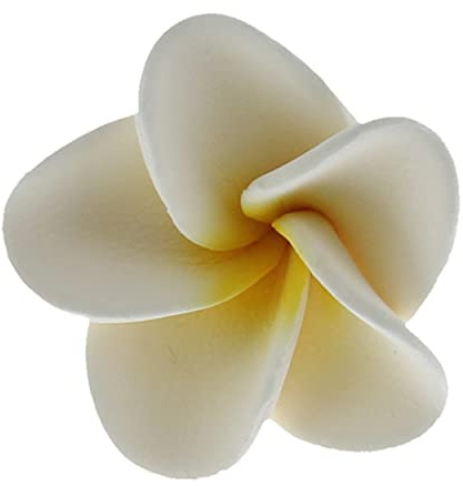Global Sugar Art Tropical Frangipani Plumeria Sugar Cake Flowers, White 20 Count by Chef Alan Tetreault
