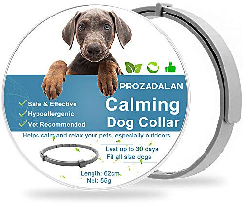 Beruhigendes Hundehalsband, Verstellbar, Wasserdicht, Beruhigendes Halsband für Hunde, Effektive Linderung von Angst, 30 Tage Haltbar, 100% Sicher
