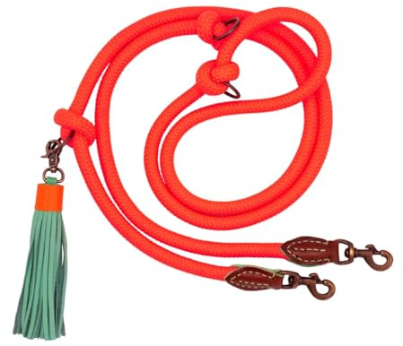 Dog with a Mission - Hundeleine S | Orangefarbene Tauseilleine für kleine Hunde | Robuste Führleine mit stabiler Karabinerhaken - 220 cm x 1 cm | Polyester & Leder - Frisch und auffällig