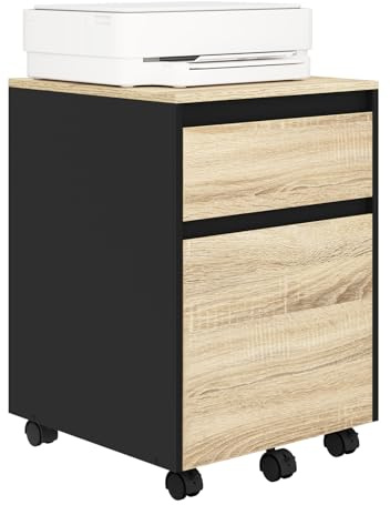WOLTU Archivador con 2 Cajones y Barra Colgante, Cajonera Escritorio con Ruedas, Mueble Oficina de Almacenamiento, Armario Archivador para Carpetas y Archivos A4, 40x40x56 cm