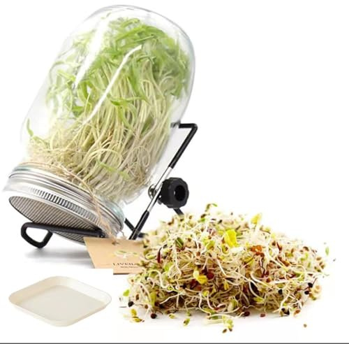 Huicare Sprossenglas, Keimglas für Sprossen, Kresseigel mit Edelstahldeckel, Germinator, Selber Ziehen Microgreens Starter Set für Sprossen und Keimlinge