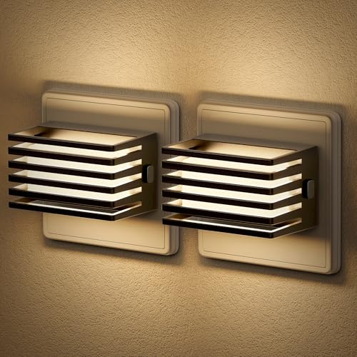 JandCase Nachtlicht Steckdose, [2er Pack], Nachtlicht mit Dämmerungssensor, Dimmbares 30/60/100LM, 3000K Warmweißes Steckdosenlicht für Schlafzimmer, Badezimmer, Flur