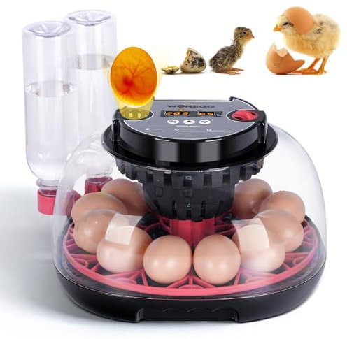 Brutkästen für Bruteier 12 Eierbrüter mit Automatischer Eierwende und Feuchtigkeitsregulierung, Eierständer, Automatische Wassernachfüllung für Hühnerwachteln, Enten, Truthähne, Papageien, Gänseeier