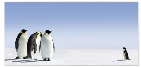 banjado Magnettafel weiß 78 x 37cm / Magnetwand Metall/Magnetpinnwand als Memoboard/Pinnwand Magnettafel Küche, Büro, Kinderzimmer inkl. 4 Magnete & Montageset - Motiv Catch Up