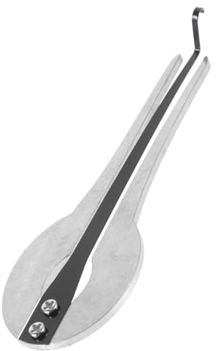 Metallmaul Harfe Traditionelles Mundinstrument für Anfänger, Silber | Halloween Feier, Ethnisches Musikinstrument für Volksmusik, Leicht, Vielseitig, Handlich, für Einsteiger, Metall
