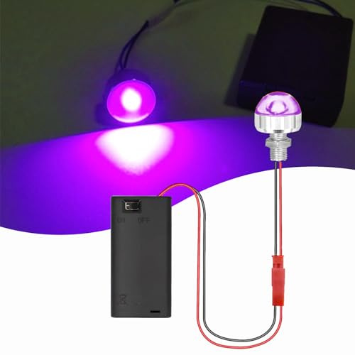 Puppenhaus Beleuchtung Mini LED Licht Optional Rot/Gelb/Blau/Grün/Lila/Weiß mit AA-Batteriehalter & Schalter, Micro LED Kleine Krippenlicht für DIY Ledmodellbau Wichtel Mikrohaus (Violettes Licht)