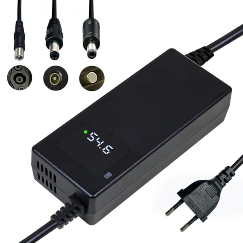 Caricatore per scooter elettrico 54,6 V 2 A, adatto per batterie al litio da 48 V, con display LED e molteplici funzioni di protezione e riparazione, dotato di un connettore RCA da 8 mm, DC 5,5 x 2,1