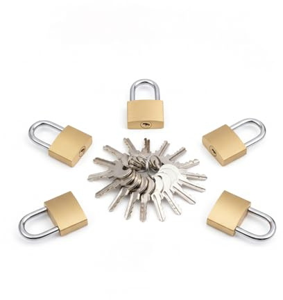 DAQUN 5 Pcs Small Padlock, Small Padlocks with Keys, 20mm Solid Brass Mini Lock for Gym Lockers, Luggage, Tool Box, Jewelry Case, Indoor Outdoor