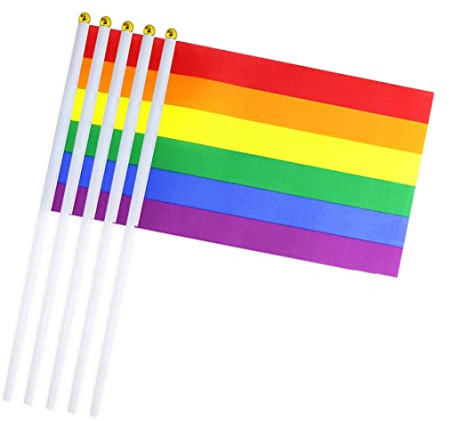 SunaOmni Bandera del orgullo gay, bandera arcoíris, bandera pequeña de mano LGBT, mini banderas gay para festivales del orgullo lésbico, 10 unidades