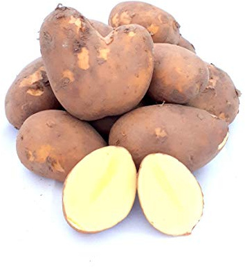 Kartoffel Belmonda deutsche Speisekartoffeln vorwiegend festkochend neue Ernte halbmehlig 1-25 KG (1 KG)