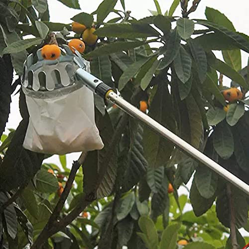 Obstpflücker mit Teleskopstiel - Erntehilfe mit Tasche für Apfel Birne Zitrone Orange Teleskop Obstfänger Pflückwerkzeug