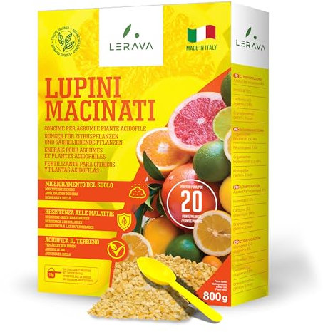 LERAVA® Gemahlene Lupinen (1,7 kg) - Zitrusdünger biologisch - organischer Bodensäurer für Zitronen und Agrumipflanzen - verbessert Wachstum und Resistenz gegen Krankheiten - umweltfreundlich abbaubar