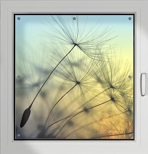 Wallario Lichtschutzbild, Dekorativer Sichtschutz Sonnenschutz 96 x 100 cm mit Motiv: Samen der Pusteblume in Nahaufnahme vor blauem Himmel - Verdunklungsrollo ohne Bohren