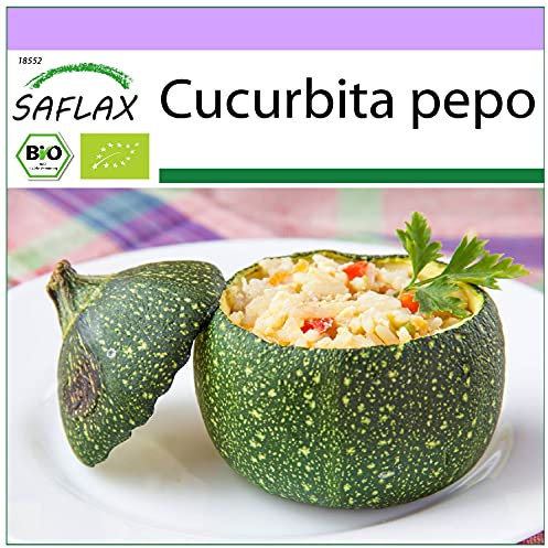 SAFLAX - BIO - Zucchina - Tondo di Nizza - 5 semi - Cucurbita pepo