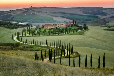 adrium Immagine in legno 60 x 40 cm: tramonto e strada tortuosa con cipressi in Toscana(35702204)