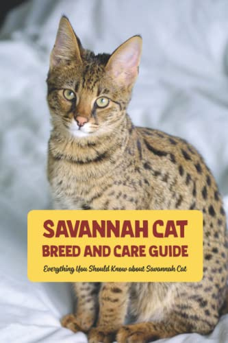 Savannah Cat Breed and Care Guide: Everything You Should Know about Savannah Cat: Savannah Cat