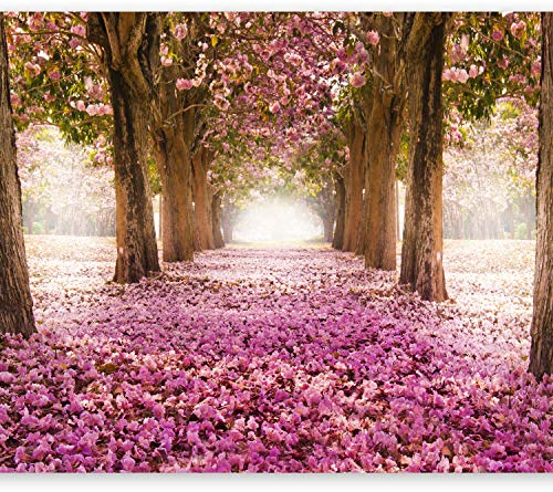 murando Fototapete Premium-Vlies Weg 350x256cm Foto Tapete Schlafzimmer Wohnzimmer Vliestapete XXL Wandtapete Motivtapeten Bildtapete 3d Effekt Wand Dekoration Flur Blumen Bäume Park Allee rosa braun