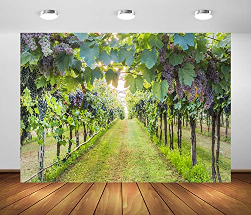 BELECO 2.1x1.5m Toile de Fond en Tissu pour Photographie de Campagne, Vigne, Paysage de vignoble, Fond de vignoble, Ferme, Raisin, récolte, vin, décoration de fête, Portrait, séance Photo
