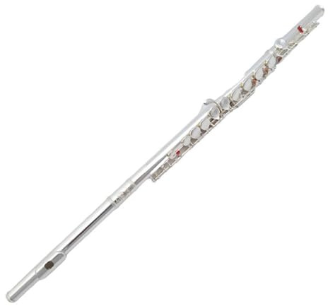 Flöte Für Anfänger Flöteninstrument 16 Geschlossenes Loch Vernickeltes Flöteninstrument C-Taste Mit E-Taste Flöte Mit Prüfungsqualität