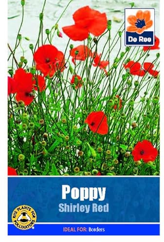 Flower Seeds Poppy Shirley Red - 520 Seeds Packet Plant Bedding Borders Containers Pots Grow Your Own Garden Plant Seed