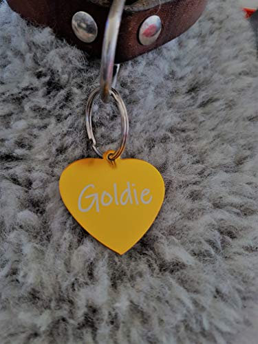 Gravuren.store 2 Stück Hundemarken Herz, Adressanhänger aus Aluminium mit Lasergravur, 10 Farben, 36mm X 37 mm (Gold)
