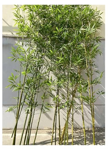 WAHHWF Artificial Bamboo Plants Outdoor Tall 3ft 4ft 5ft 6ft 7ft 8ft 9ft 10ft, Green Faux Bamboos Fence Privacy Screen Fake Tree for Balcony Patio Garden Outside Decor(30 pack,3m/9.8ft Tall)