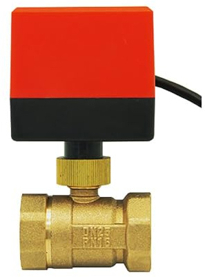 2 Way motorised Valve Electric Ball Valve AC220v AC24v DC12v 1/2 3/4 1 1-1/4 1-1/2 2 inch (DC12v, 1 pulgada)