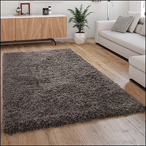 Paco Home Tapis Poils Hauts Moelleux Moderne Shaggy Style Flokati Confortable Uni Anthracite, Dimension:240x340 cm