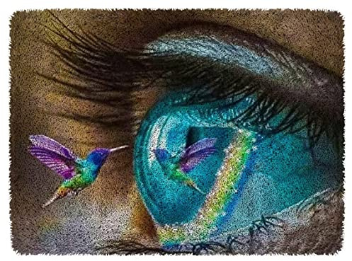 ROCKY&CHAO DIY Latch Hook Rug Kit for Kids & Adults - Cross Stitch Carpet Making Crochet Embroidery Needlework Crafts - Home Decor Project - 60X42CM - Hummingbirds and Eyeballs