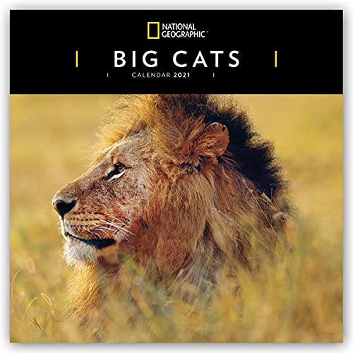 WWF Big Cats – Raubkatzen 2024: Original Carousel-Kalender [Mehrsprachig] [Kalender] (Wall-Kalender)