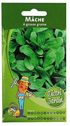 Mâche A grosse graine