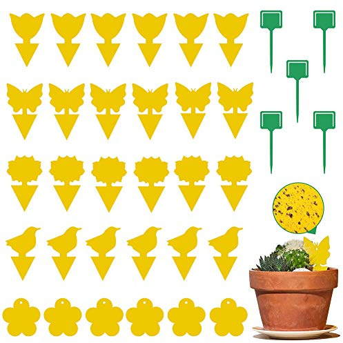 XYDZ Trappole Appiccicose per Insetti,Trappole per Insetti Gialle,Trappole per Insetti Frutta,Trappole per Insetti Casa,Trappole per Insetti Volanti, Per Parassiti Delle Piante,Mosca della Frutta
