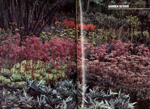 Dry Climate Gardening With Succulents: The Huntington Botanical Gardens (The American Garden Guides)
