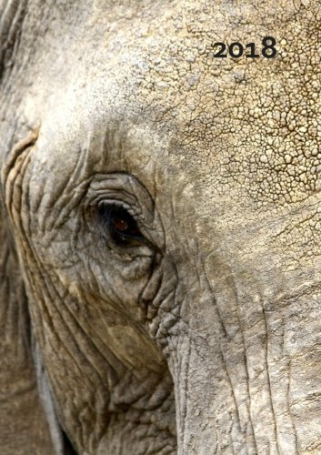 Kalender 2018 - Elefant Eye: DIN A5, 1 Woche pro Doppelseite