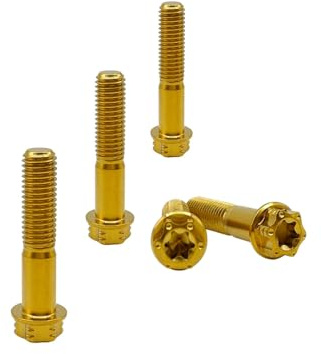 RISON-Titanium Titanschrauben M10x1.25x35mm, 5 Stück Flanschschraube Torx Kopf Flansch Schrauben Sechskantschrauben Gewindeschrauben GR5 Titanbolzen Befestigungen für Motorräder Fahrrad Auto