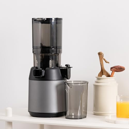 300W Professional Slow Masticating Juicer, Compact Cold Press Juicer, with 13cm Feeding Chute, for Fruits Vegetables