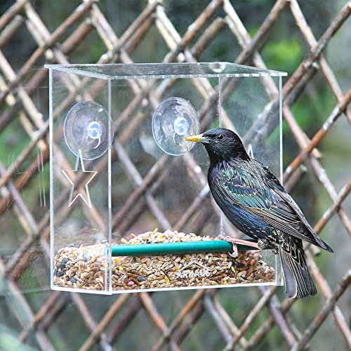 Glass Window Bird Feeder Rectangular Seed Peanut Mealworm Suction Perspex Clear