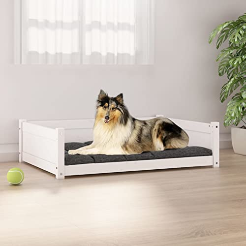 BULANED Hundebett, Hundesofa, Hunde Bett, Hundekissen, Dog Bed, Kuschelbett Katzen, Hunde Sofabett, Hunde Couch, Weiß 95,5x65,5x28 cm Massivholz Kiefer